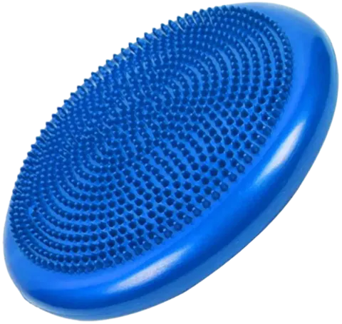 French Fitness 33cm Balance Cushion / Stability Disc (New)