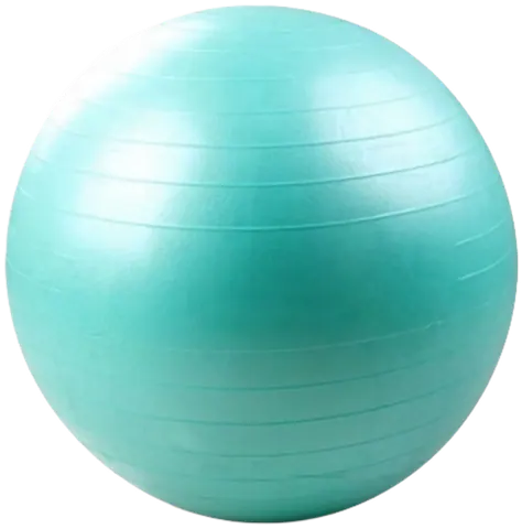 French Fitness Anti Burst Stability Exercise Ball 55cm (New)