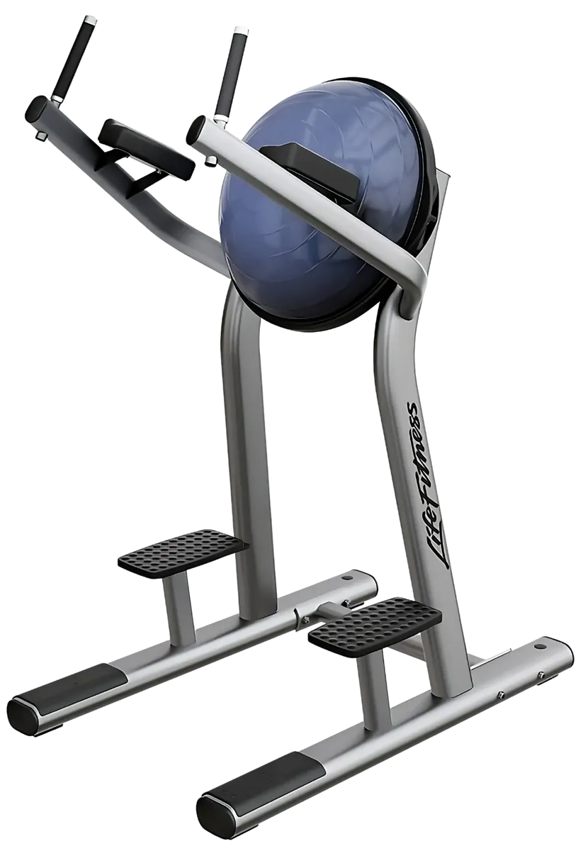 Life Fitness Signature Bosu VKR Leg Raise (Remanufactured)